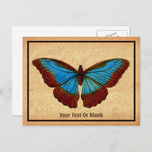 Vintage Schmetterlingsdarstellung Feiertagspostkarte (Vorne/Hinten)