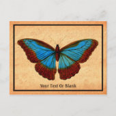 Vintage Schmetterlingsdarstellung Feiertagspostkarte (Vorderseite)