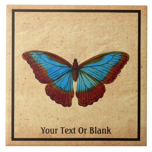 Vintage Schmetterlingsdarstellung Fliese (Vorderseite)