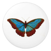 Vintage Schmetterlingsdarstellung Keramikknauf (Vorderseite)