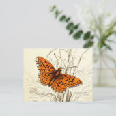 Vintage Schmetterlingsdarstellung, orange und schw Postkarte (Stehend Vorderseite)