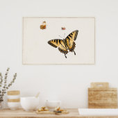Vintage Schmetterlingsdarstellung Poster (Küche)