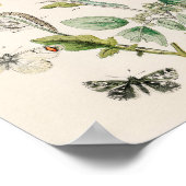 Vintage Schmetterlingsdarstellung Poster (Ecke)