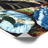 Vintage Schmetterlingsdarstellung Poster (Ecke)