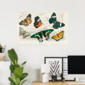 Vintage Schmetterlingsdarstellung Poster (Heimbüro)