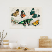 Vintage Schmetterlingsdarstellung Poster (Küche)