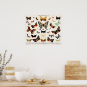 Vintage Schmetterlingsdarstellung Poster (Küche)