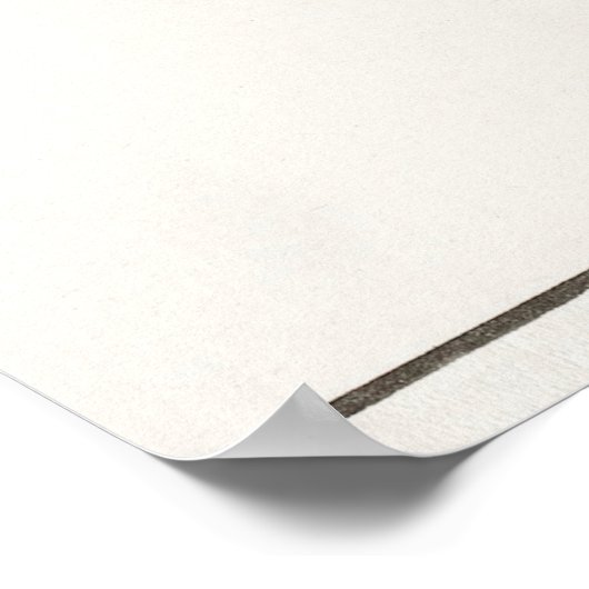 Vintage Schmetterlingsdarstellung Poster (Ecke)