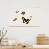Vintage Schmetterlingsdarstellung Poster (Küche)