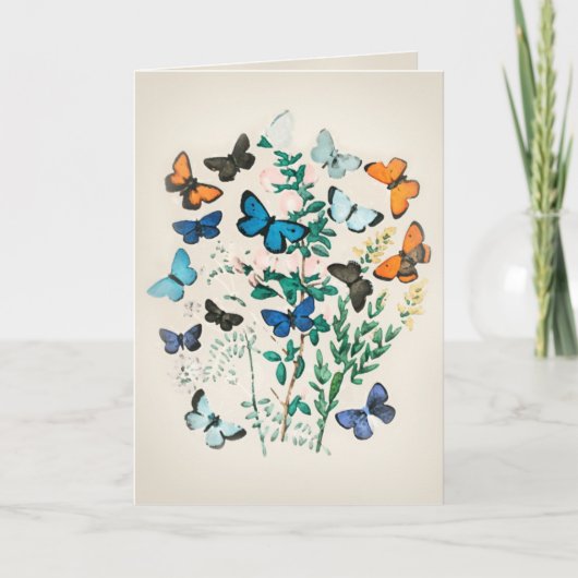 Vintage Schmetterlingsfarbe Karte (Vorderseite)