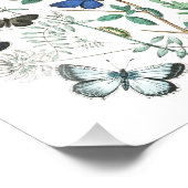 Vintage SchmetterlingsIllustration Fotodruck (Ecke)