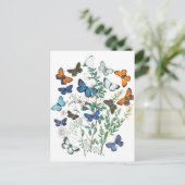 Vintage SchmetterlingsIllustration Postkarte (Stehend Vorderseite)