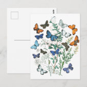 Vintage SchmetterlingsIllustration Postkarte (Vorne/Hinten)