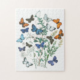 Vintage SchmetterlingsIllustration Puzzle