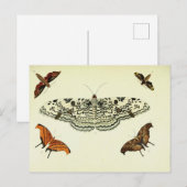 Vintage Schmetterlingskollage Postkarte (Vorne/Hinten)