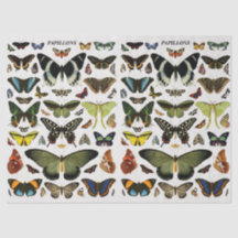 Vintage Schmetterlingsmuster Collage Decoupage