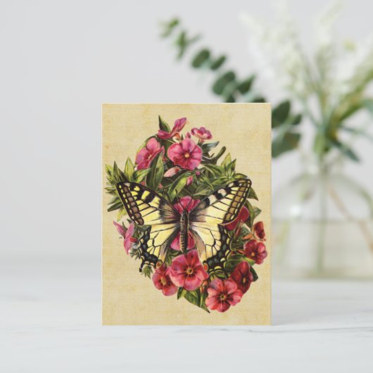 Vintage Schmetterlingspostkarte Postkarte (Stehend Vorderseite)