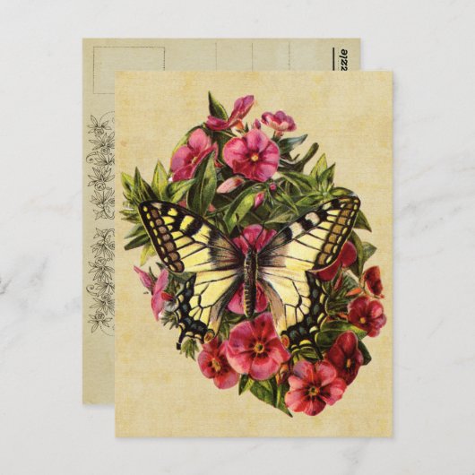 Vintage Schmetterlingspostkarte Postkarte (Vorne/Hinten)