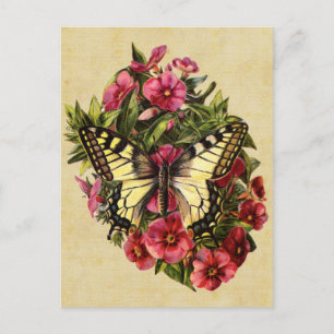 Vintage Schmetterlingspostkarte Postkarte