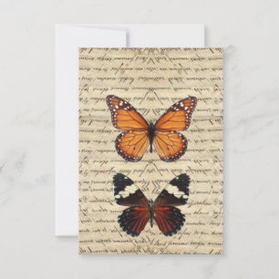 Vintage Schmetterlingssammlung