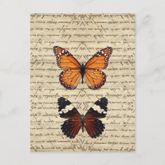 Vintage Schmetterlingssammlung Postkarte (Vorderseite)
