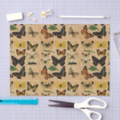 Vintage Schmetterlingssammlungen Dekoupage Seidenpapier (Handwerk)