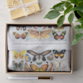 Vintage Schmetterlingstabelle (nicht KI) Seidenpapier (Geschenk)