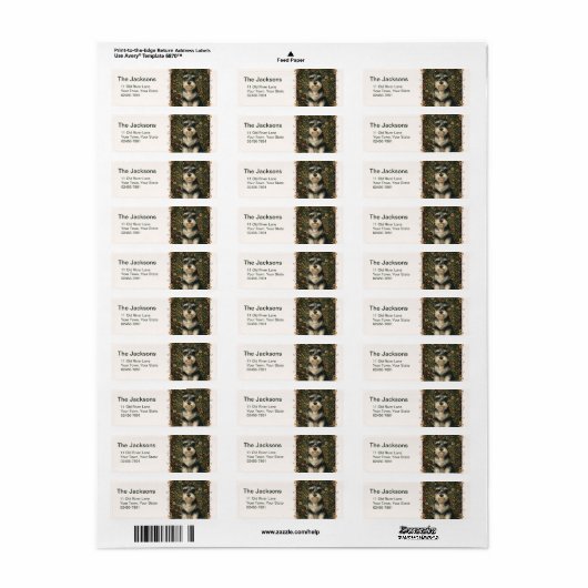 Vintage Schnauzer cute (Vorne)