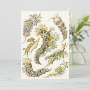 Vintage Schnecken und Meeresrauschen von Ernst Hae