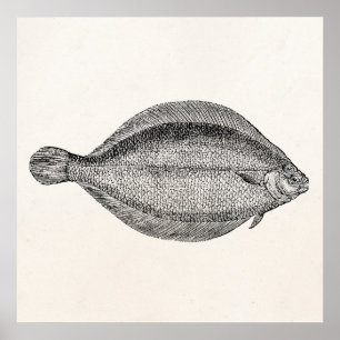 Vintage-Scholle-Fisch personalisierte Vorlage Poster