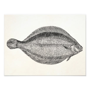 Vintage-Schollenfisch Personalisierte Vorlage Fotodruck