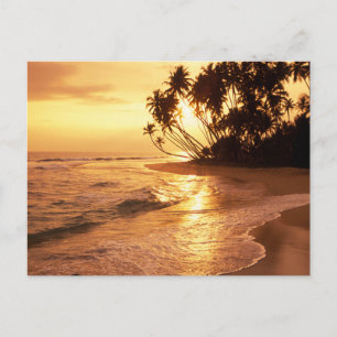 Vintage schöne Insel-Strand-Sonnenuntergangspostka Feiertagspostkarte