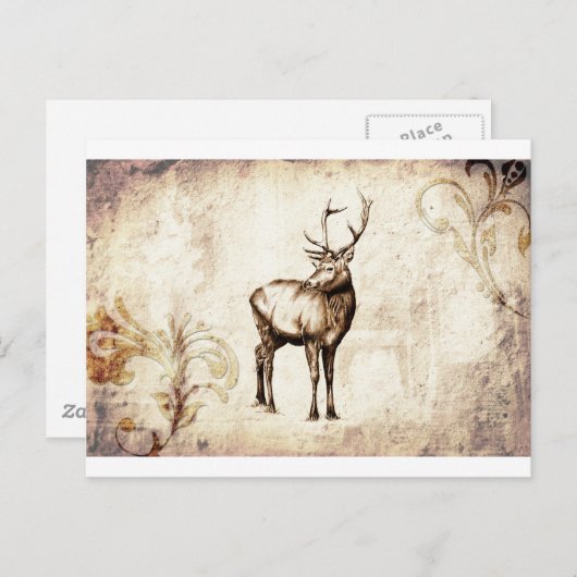 Vintage schöne Künste F077 Hirsche Postkarte (Vorne/Hinten)