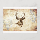 Vintage schöne Künste F078 Hirsche Postkarte (Vorderseite)