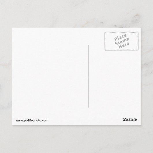 Vintage Schreibmaschine Postkarte (Rückseite)