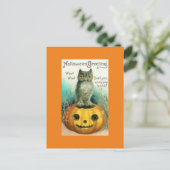 Vintage Schüssel auf KürbisHalloween Postkarte (Stehend Vorderseite)