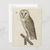 Vintage Schüssel Postkarte (Vorne/Hinten)