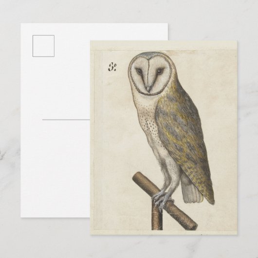 Vintage Schüssel Postkarte (Vorne/Hinten)