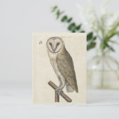 Vintage Schüssel Postkarte (Stehend Vorderseite)