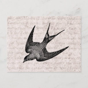 Vintage Schwalben-Illustration - Antiker Vogel aus Postkarte
