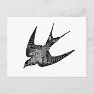 Vintage Schwalben-Illustration - Retro-Vögel aus d Postkarte