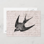 Vintage Schwalbenabbildung - Antiquitätenvogel aus Postkarte (Vorne/Hinten)