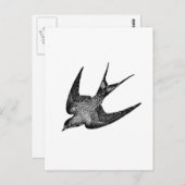 Vintage Schwalbenabbildung - Antiquitätenvogel aus Postkarte (Vorne/Hinten)
