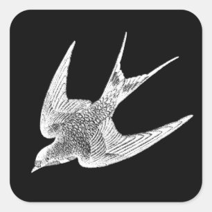 Vintage Schwalbenabbildung - Antiquitätenvogel aus Quadratischer Aufkleber