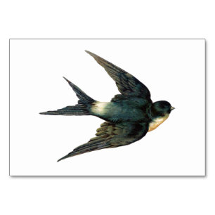 Vintage Schwalbenvogel-Illustration Tischnummer