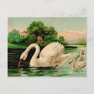 Vintage Schwan im See Postkarte