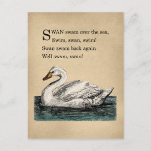 Vintage-Schwan-Zungenbrecher Postkarte