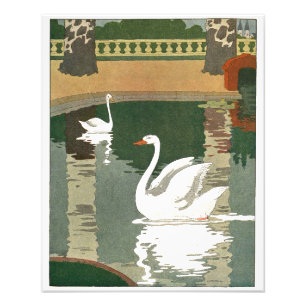Vintage Schwäne im Wasser Fotodruck