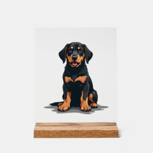 Vintage Schwarz und Tan Hund Rückansicht Illustrat Acrylschild