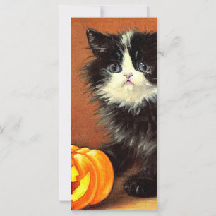 Vintage Schwarz-Weiß-Halloween-Kätzchenkarte